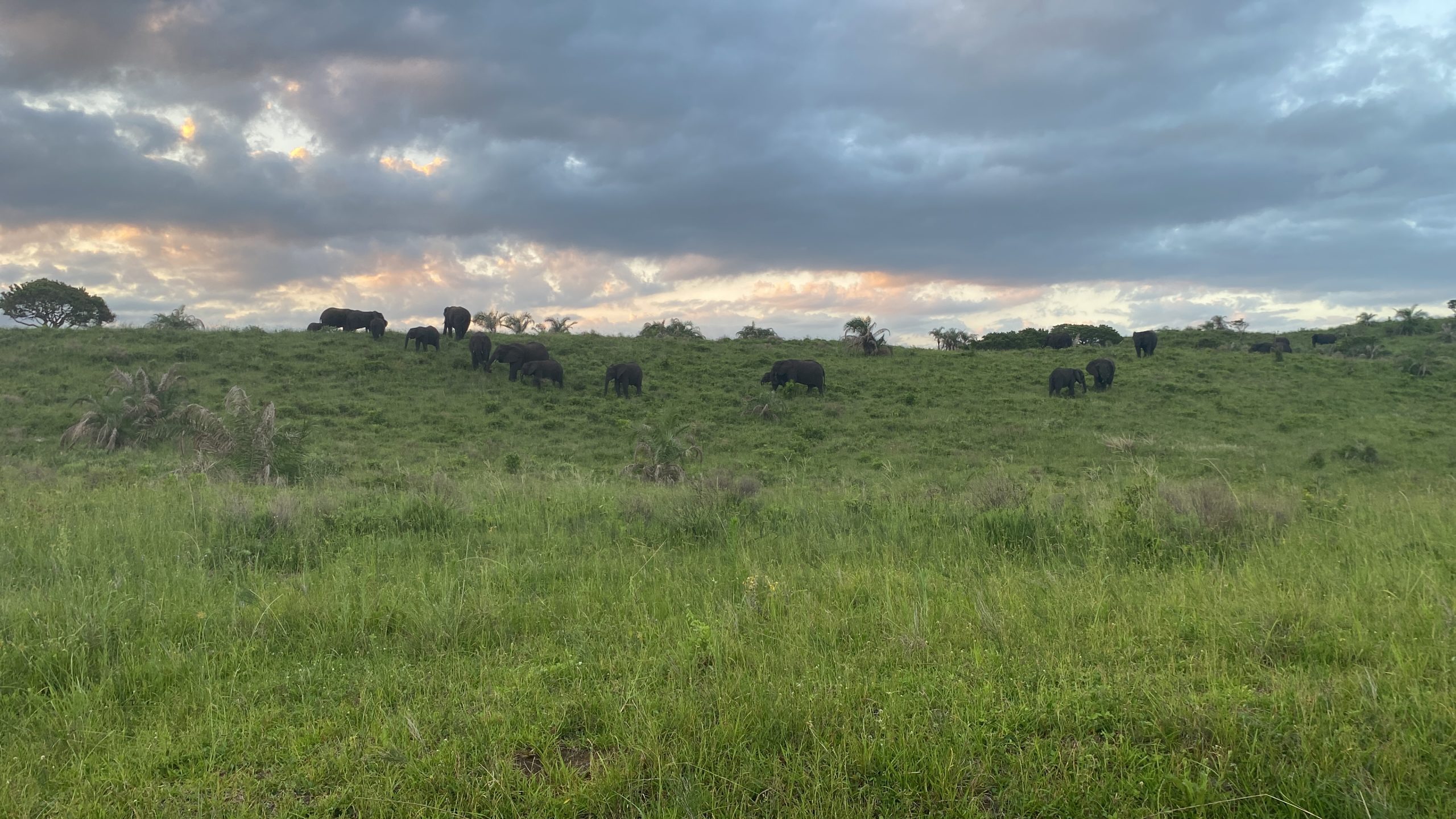 Camping Adventure At Cape Vidal: A Complete Review of the iSimangaliso Wetland Park